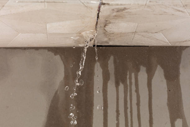 Professional Flood Damage Cleanup technician working in Shabbona, IL